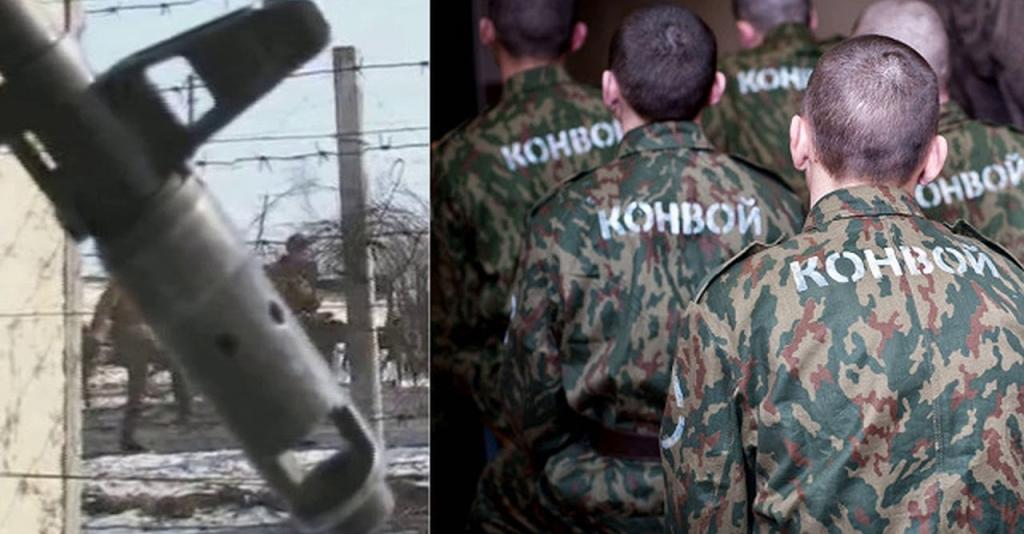 Дисбат.jpg