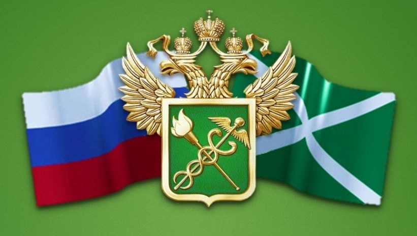 ФТС России.jpg