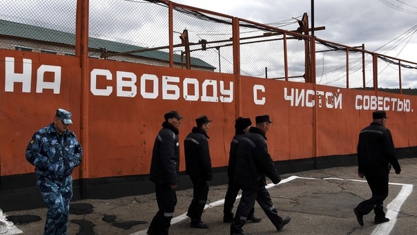 Законопроект об участии заключенных в боевых действиях разработали в Совете Федерации.jpg
